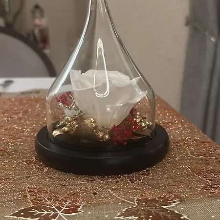 Le Victor Hugo - Et Restaurant - Logis 2* Saint-Céré