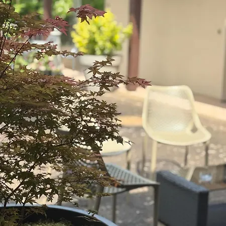 מלון Le Victor Hugo - Et Restaurant - Logis Saint-Céré