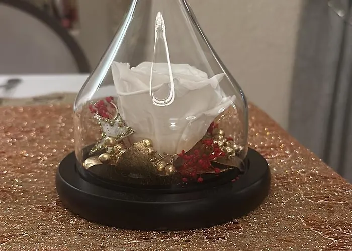 Le Victor Hugo - Et Restaurant - Logis 2* Saint-Céré